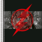 The Flash – Caderno Universitário 15 matérias - Capa D