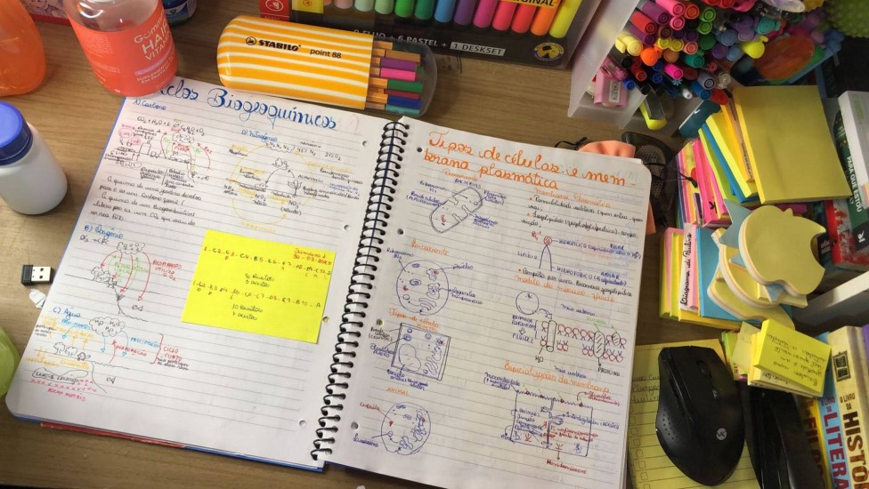 Como Usar Canetas Coloridas para Organização e Criatividade