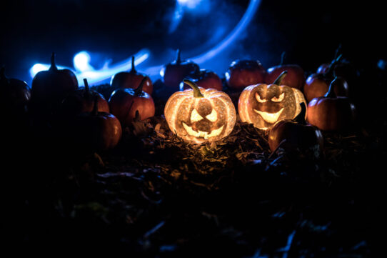 Origem do Halloween e sua Influência na Cultura Pop